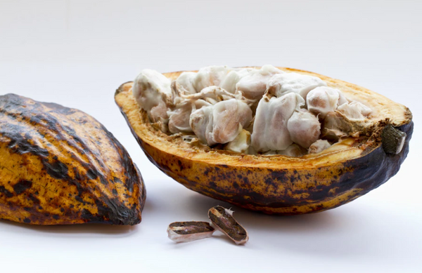 Crema de cacao: magia para tu cabello